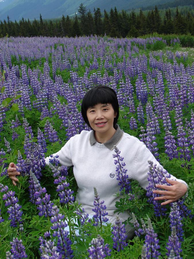 Reflection Lake Bed And Breakfast แองเคอเรจ ภายนอก รูปภาพ