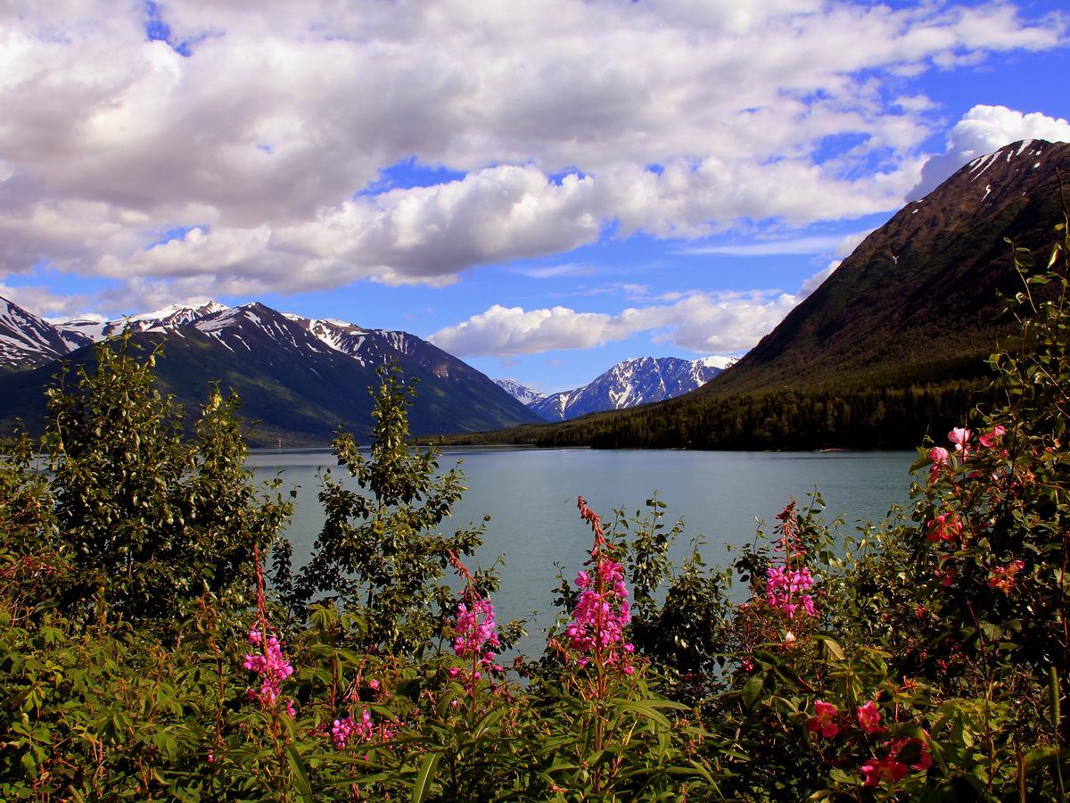 Reflection Lake Bed And Breakfast แองเคอเรจ ภายนอก รูปภาพ